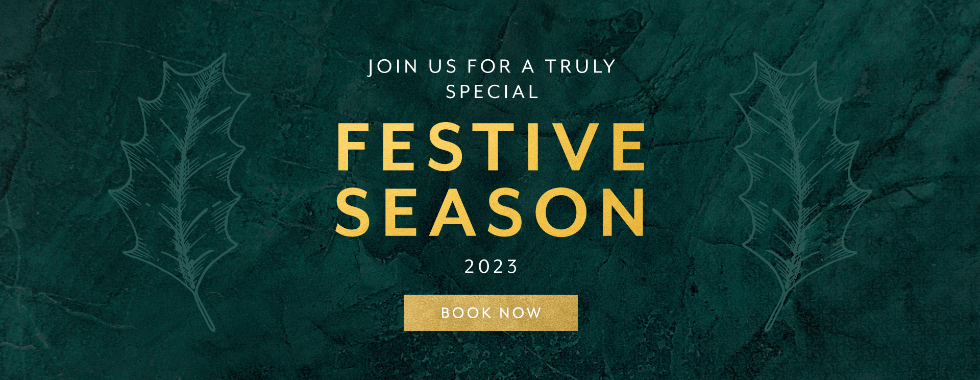 Christmas 2023 at Kings Langley